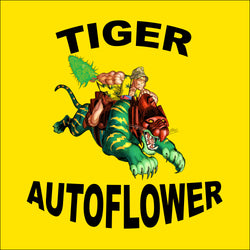 Tiger Autoflower Seeds logo