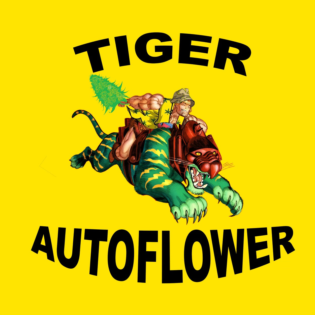 Mephisto Genetics Mango Sorbet x Humboldt Seed Co Durban Poison Feminized Autoflower