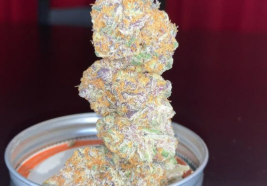 #1 Blue Guava Pop #33(Photoperiod Feminized  12pack )